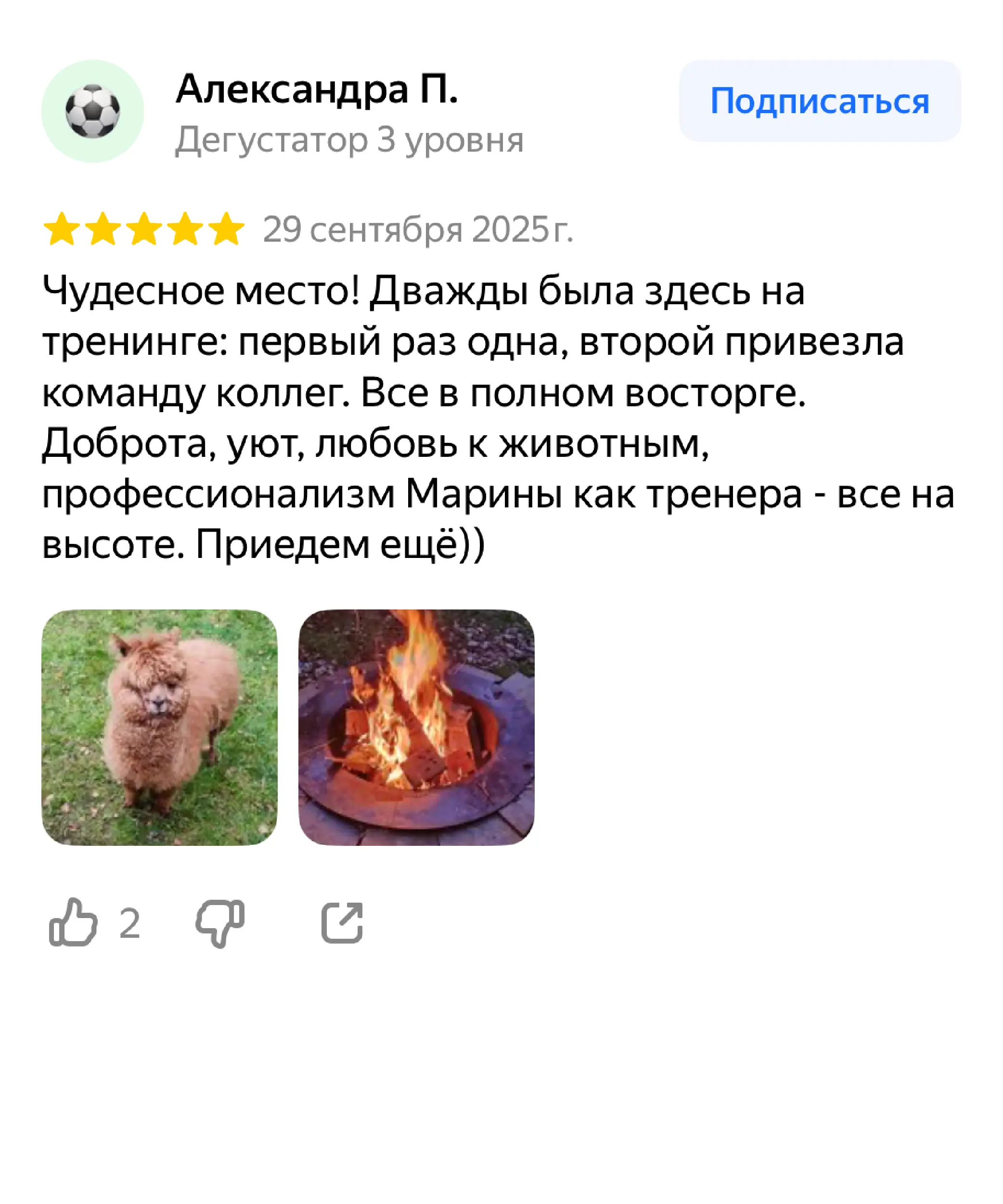 Отзыв №4